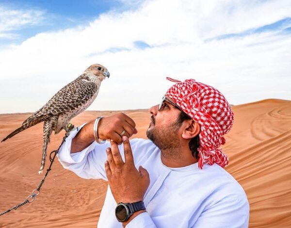 Untitled design (54)