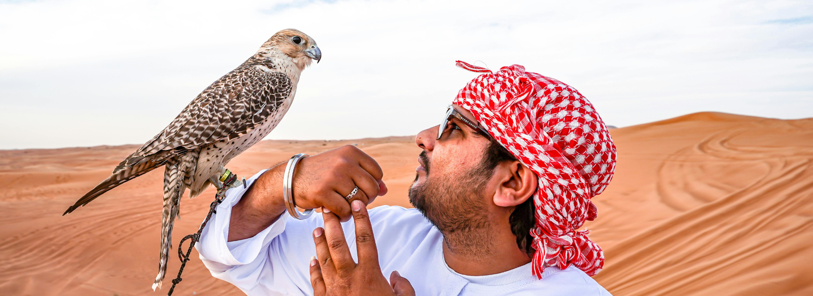 Untitled design (36)